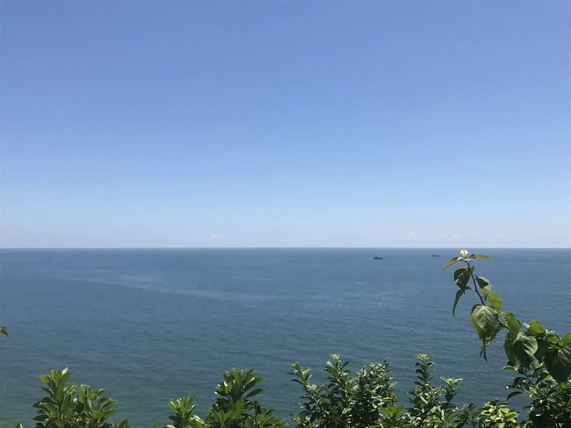 1505710416198595.jpg
